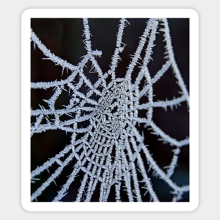 Frozen Web Sticker